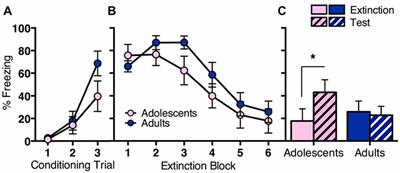 Prefrontal Dopaminergic Mechanisms of Extinction in Adolescence Compared to Adulthood in Rats